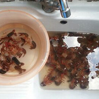 ���ȵ���Ҳ�ֵ������Ҷ�����������~��