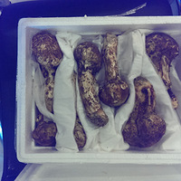 �������ף�������ζ����Ȼȥ����