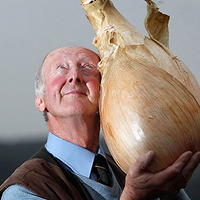 ������Щ�߲˳ɾ���~