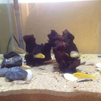 �����Ҽҵ�2��������