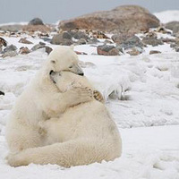 аNeed a big hug now
