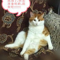 ȳɹҸĶë