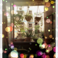 ڹ ɹһ½ʣ