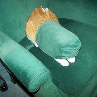 ȷȫˡ