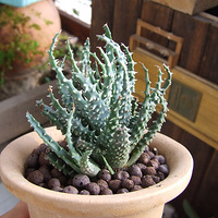 иϼڼ˵еʦȷʵ