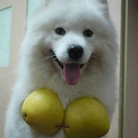 Щ˻öѧ