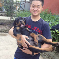 �۸���ѽ������å�����б��ڵġ������ȳ�ɹ�Ҹ���