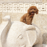 ���½��������գ�