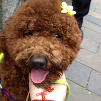 ���ó�Ʒ~~ŦԼ֥ʿ �ű����޵��� �ʻ���˪����