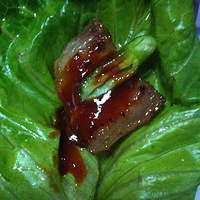 ƽ�׹�����