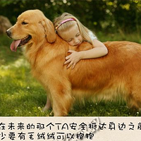 ʮ