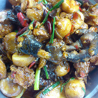 ȫְڼҶѽ