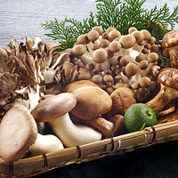 ��������ĺ��ӡ���ʮһ�¼���Ʒ