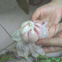 �Ǵ����������ת��