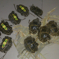 ��Ҳ�������ҵ����Ĳ�