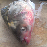 ɳ����ͷ�ҡ����������������