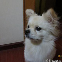 山Ѱ