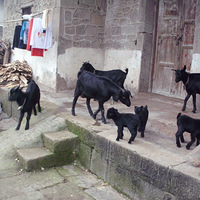 �����ˣ�����ˣ�