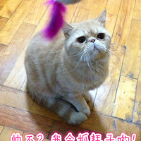 к˧Ů