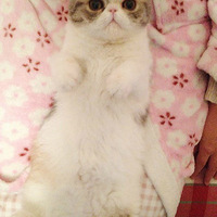 è~~~hello kitty!!!! Ҽ ƷO(_)O	
