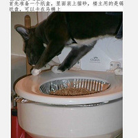 ѵԼȥͰΣǿ¼