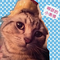 ҼҲѧè嶥