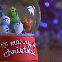 ��ʵ��ʥ��ҹ----ţ�����������Ǥ�˽���ˣ�