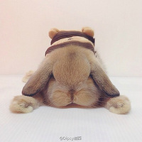 ......û¾ͰRilakkumaСȣ