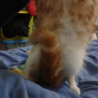 ɹ˴~~~Ӵ~~