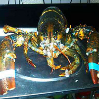 û�������Լ�����������Ϻ�ԣ���Σ�