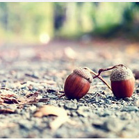 ȻҲ   #ɰд#