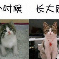ǰɱ~~
