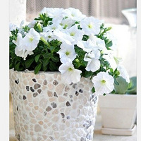 bcССֲ~ȻMosaic tin DIY