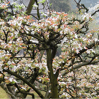 ��ĩȫ����԰BBQ