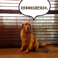 㲻ʹôôô찡