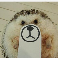 ȴ⬣
