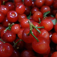 �ײ�deССʳ�� ��������ζ�������ֽ�