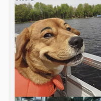 üëЦcry