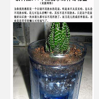 Ρûչˣװã뿪ö¡