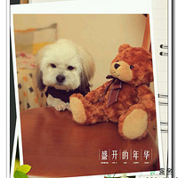 �޻�������ŵ�ÿ��һ��Summerlily's Kitchen �ڶ���