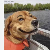 üëЦ