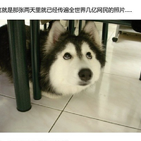 Ѿȫ缸Ƭ