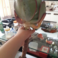 ԻľްԶ׮