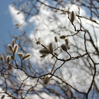 ��������ĺ��� 2014���η���ƪ~��ȼ�յ�Զ��~��