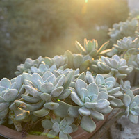 9.17ػ꡿ʱ~ʱֲħ춹ɱ