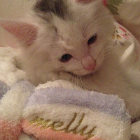 С׵¼ˣллҹģ