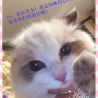 ˧ľѵĳУ