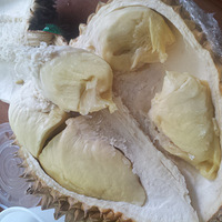 ��̫�ȣ�������ζ���������