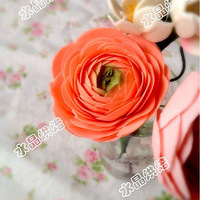 ˮ�����ǻ����硫