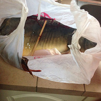 ��ڰڳ�����